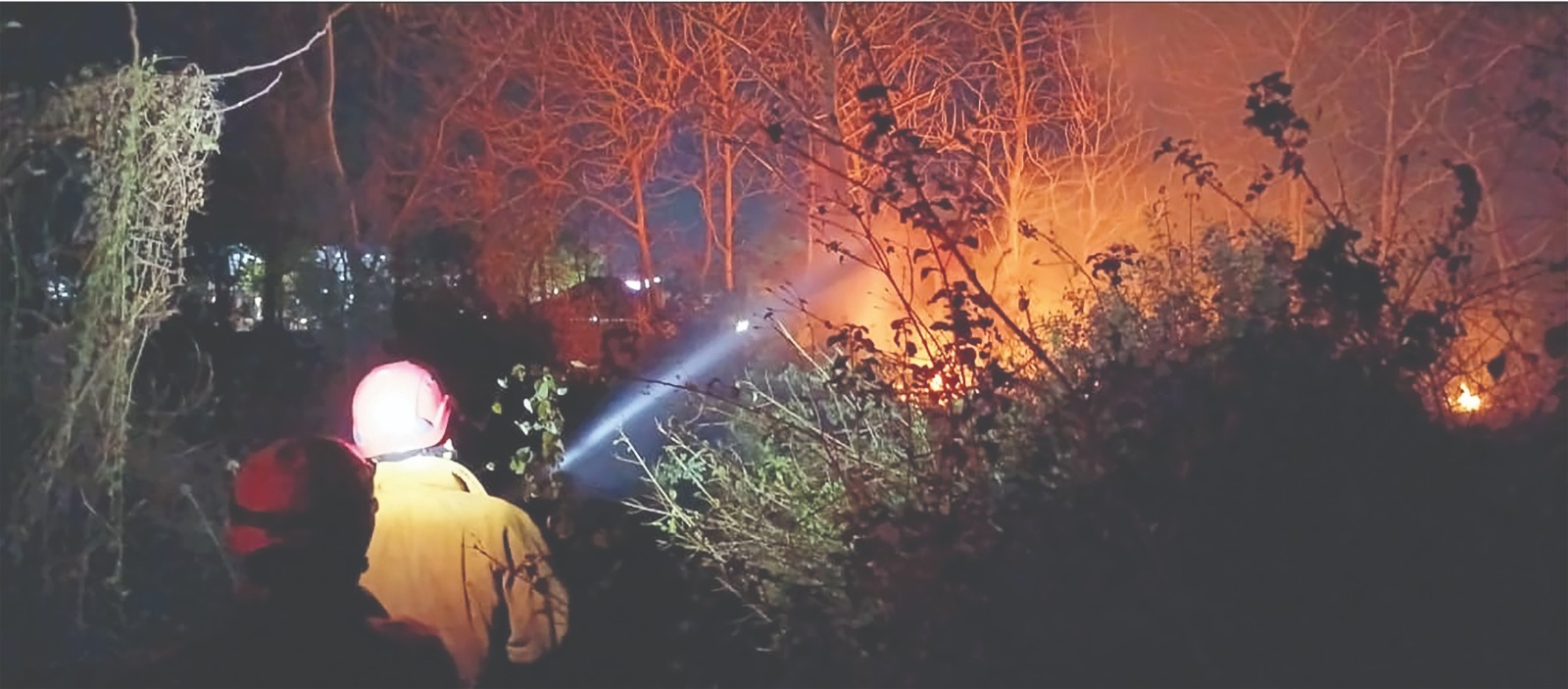 MEMBARA: Petugas Damkarmat memadamkan api yang melalap tanaman warga di Kelurahan Ringinanom.