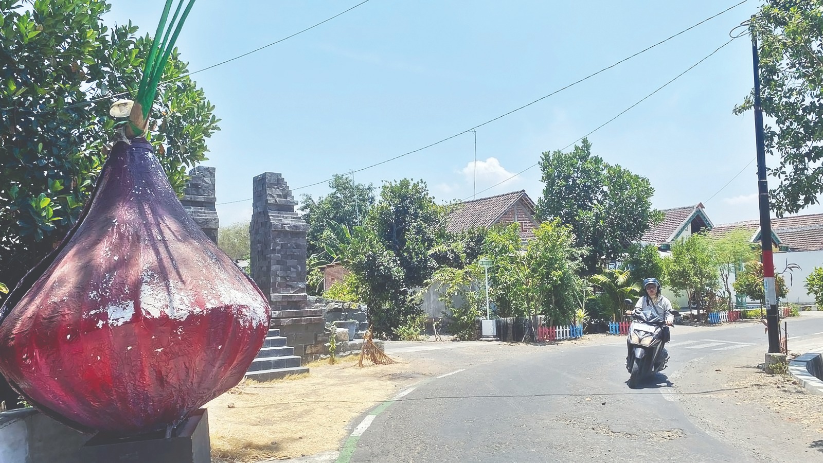 PENGHASIL BERAMBANG: Warga Sawunggaling mayoritas petani mengikuti jejak Ki Punggul