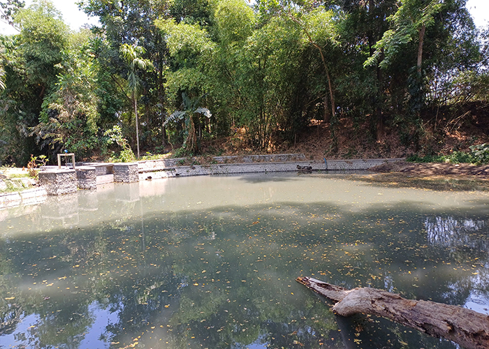 LUAS: Kondisi mata air yang dikenal sebagai Sumber Agung ini berada di Desa Sumberagung, Wates.