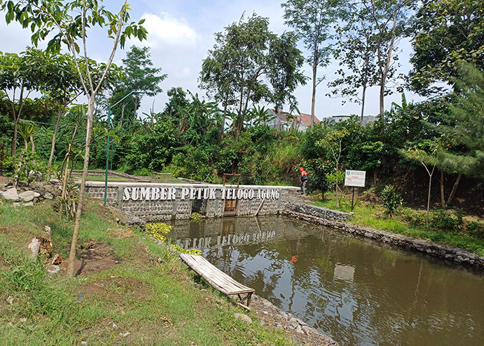 SEPI: Kolam yang ada di Sumber Petuk Telogo Agung. Warga menjadikan sumber ini sebagai tempat budi daya ikan.