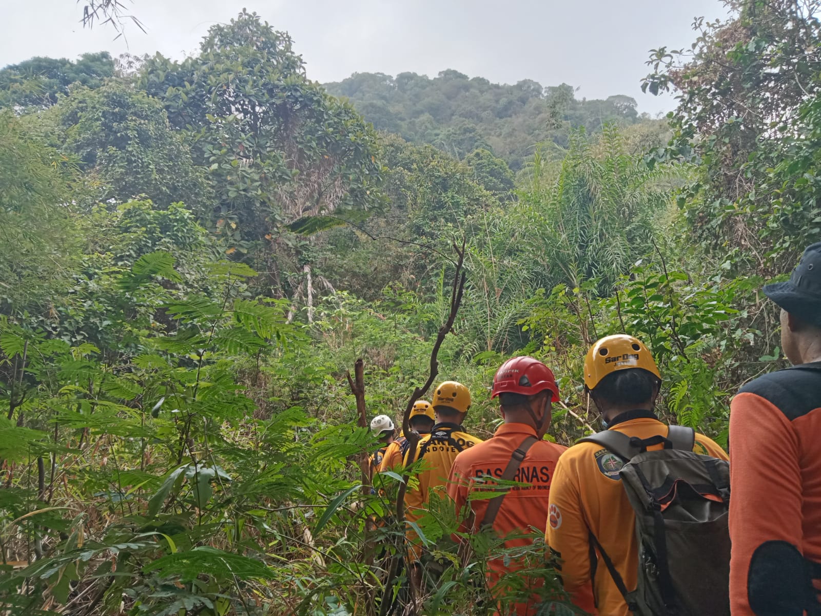 SUSUR HUTAN: Tim SAR gabungan melakukan pencarian Riyan yang hilang di lereng Kelud. Pencarian dilakukan dengan menyisir kawasan hutan.
