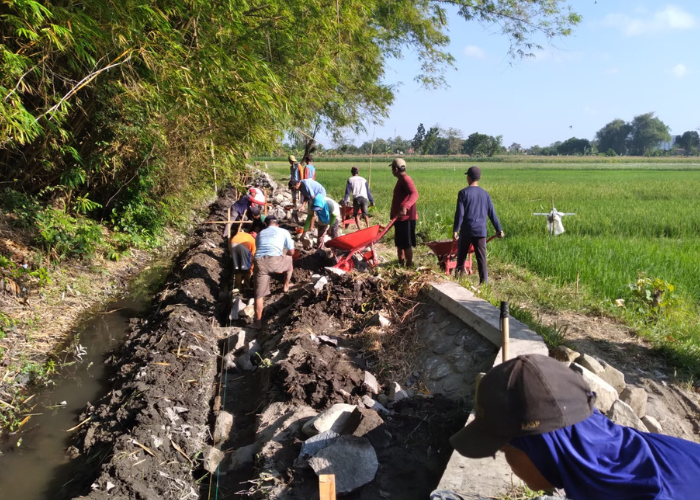 PEMBANGUNAN: Pemdes Plosorejo melakukan pemlengsengan pada 2023 sebagai tahap awal pembuatan jalan area persawahan yang dilakukan tahun ini.