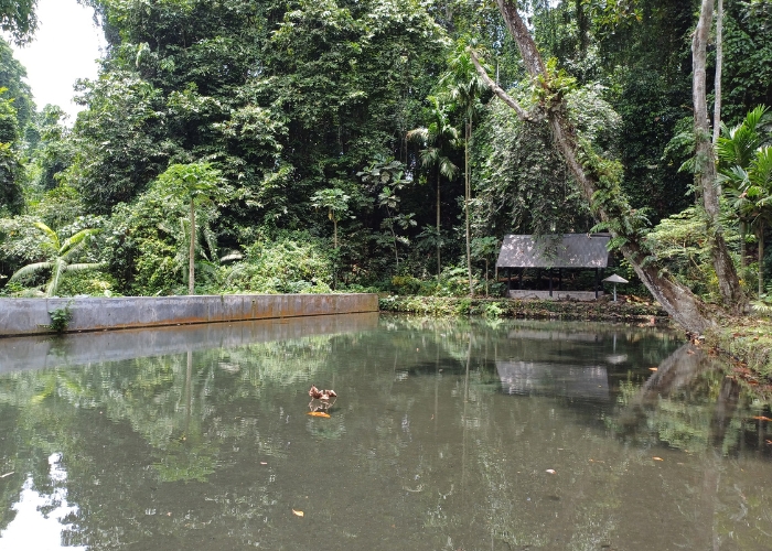 BENING: Kondisi sumber Ubalan di Desa Jarak, Plosoklaten.