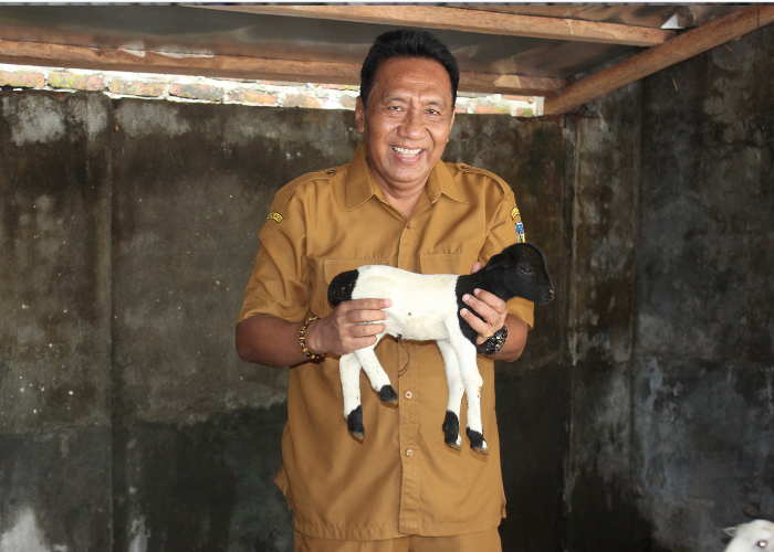 INOVATIF: Kades Ngampel Kholaif memperlihatkan domba hasil persilangan domba lokal dengan doper untuk percontohan bagi warga.
