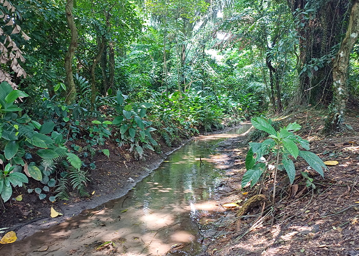 TERSEMBUNYI: Lokasi Sumber Pedet berada di dalam hutan lindung Desa Temurjo, Wates.