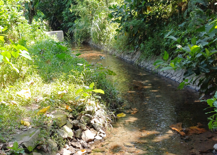 TEMPAT NYADRAN: Sumber Soko mengalir jernih ke area sawah.
