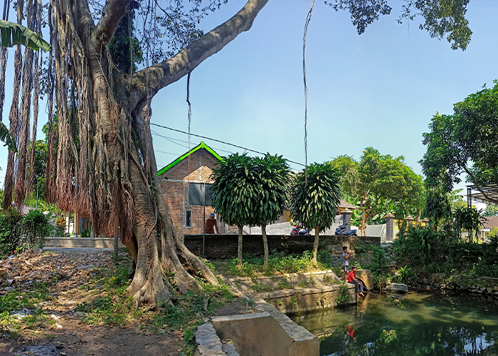 RINDANG: Dua bocah sedang bermain di kawasan Sumber Sendang. Sumber di Desa Sendang, Kecamatan Banyakan ini dimanfaatkan warga untuk berbagai aktivitas pertanian.