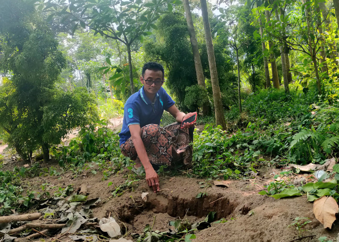 HILANG: Anis menunjukkan bekas tanaman Tabebuya.