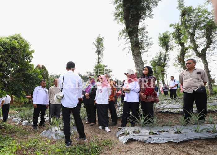 TINJAU LAPANGAN: Asdep Bidang Pertanian, Ketahanan Pangan, dan Inovasi Setkab Ida Dwi Nilasari (baju hitam) bersama tim dari sejumlah kementerian serta Wabup Dewi Mariya Ulfa (4 dari kanan) menyimak