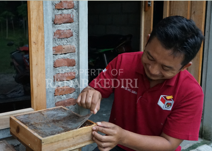 PENUH KETELATENAN: Arif sedang menunjukkan lebah lanceng miliknya. Untuk memeliharanya memang butuh ketelatenan.