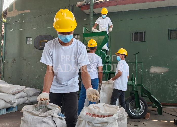 MUSNAHKAN BARANG BUKTI: Pekerja dari PT Agri Makmur Pertiwi melakukan penggilingan benih kacang panjang sebanyak 2,9 ton di halaman belakang Polres Kediri.
