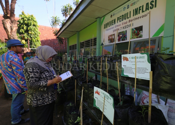 CEK LAPANGAN: Tim juri sekolah peduli inflasi melakukan penilaian dan pemantauan praktik urban farming di SMPN 7 Kota Kediri untuk melihat pertumbuhan bibit sumbangan Bank Indonesia Kediri.