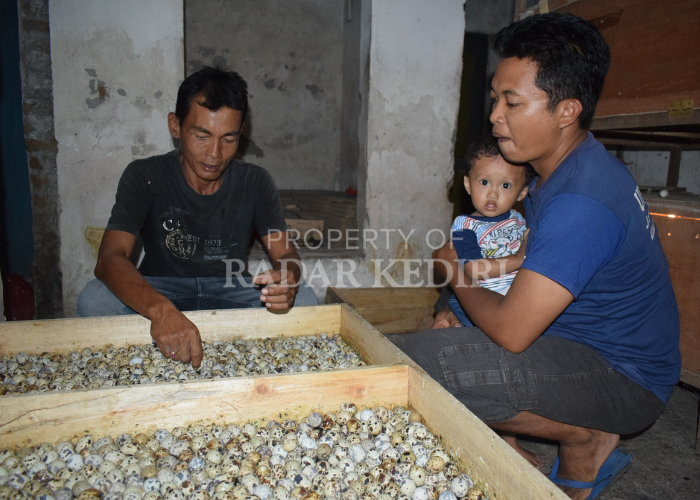 MANDIRI: Bisnis yang digeluti Lutfi Safi&rsquo;i mampu mendulang cuan.