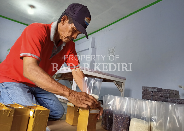 PERJUANGAN: Dengan beras merek Orila petani organik dapat memasarkan beras hingga swalayan.