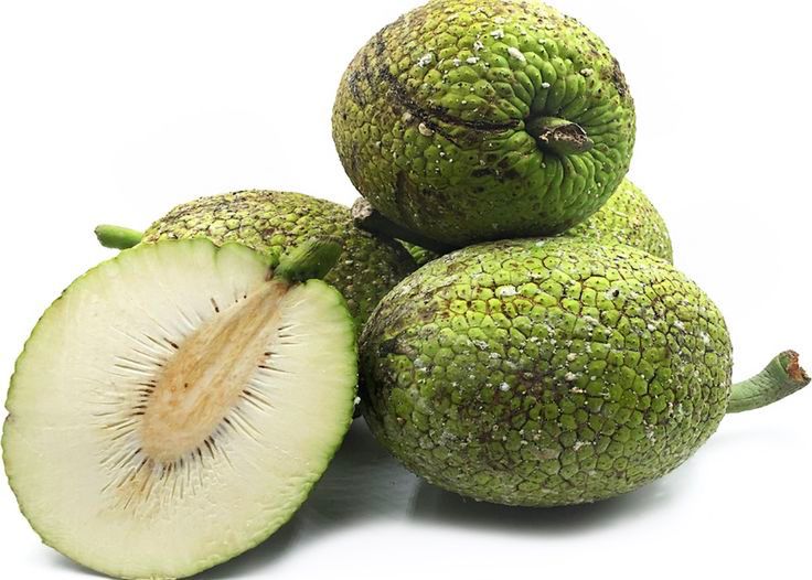 Buah Sukun