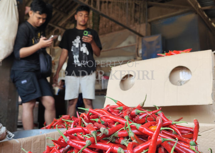 MERANGKAK NAIK: Pedagang di Pasar Ngronggo sepi pembeli. Cabai rawit dibanderol Rp 43 ribu per kg.