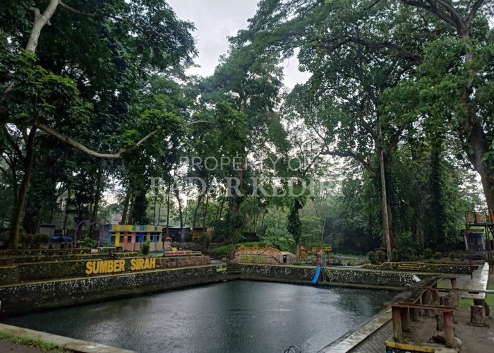 LESTARI: Suasana Sumber Sirah di Desa Kerkep, Kecamatan Gurah terjaga keasrian dan kelestariannya.