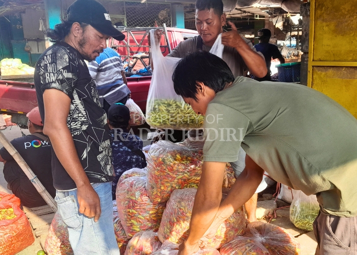 Harga cabai rawit terus meroket