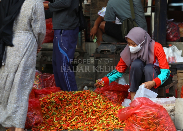 MERANGKAK NAIK: Pemkot Kediri beri status waspada untuk tiga komoditas pangan.
