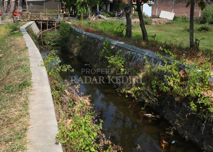 SEDIMEN TINGGI: Kali Bayak yang merupakan anak Sungai Kedak sering jadi langganan banjir saat musim penghujan tiba.