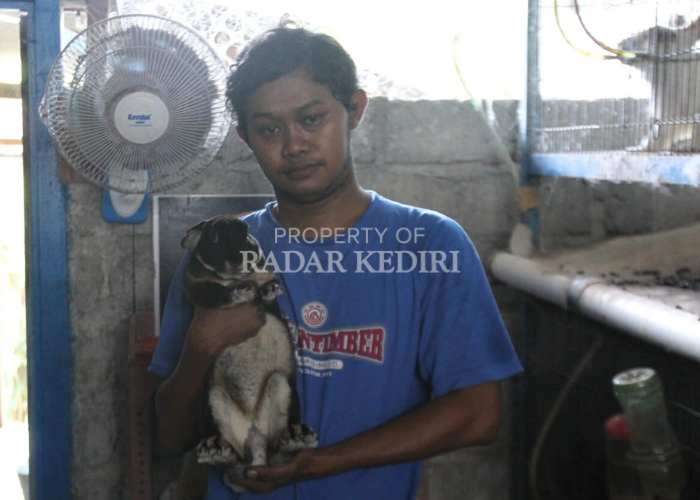 BUDIDAYA: Fendi menggendong kelinci yang diternaknya di Desa Jerukgulung.