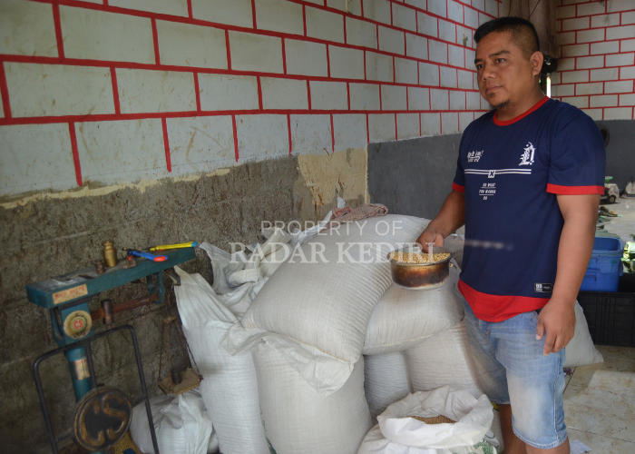 PRODUKTIF: Joko menunjukkan kualitas kedelai sebagai bahan baku utama pembuatan tahu di rumahnya.