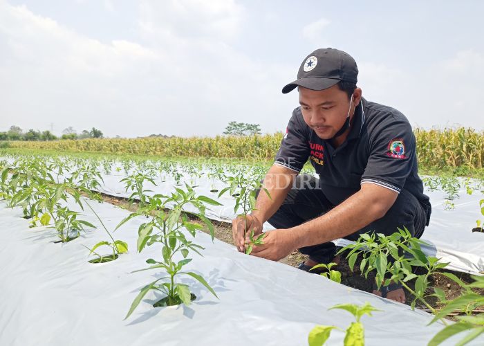 SEGAR: Epyan, salah seorang pemuda Desa Bogem yang menggeluti sektor pertanian.