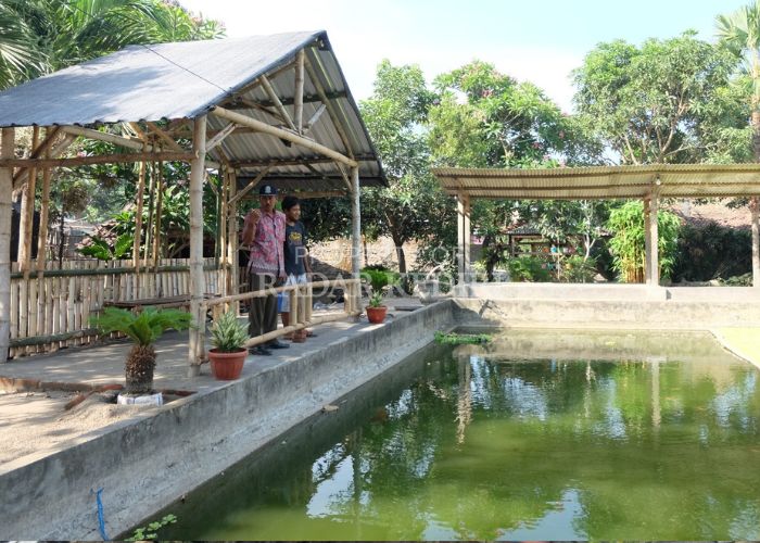 POTENSI: Warung dan pemancingan di Desa Dayu, Purwoasri, Kabupaten Kediri disulap menjadi spot wisata.
