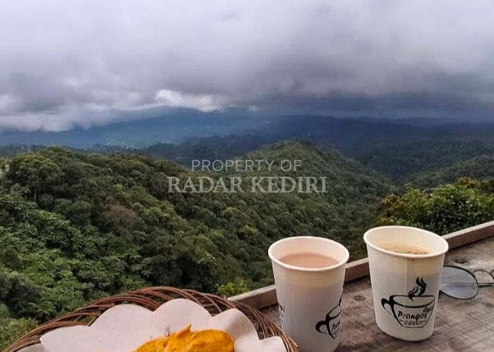 SEJUK: Pemandangan alam di Cafe tengah hutan yang berada di kawasan wisata Air Terjun Dholo, Desa Jugo, Kecamatan Mojo.