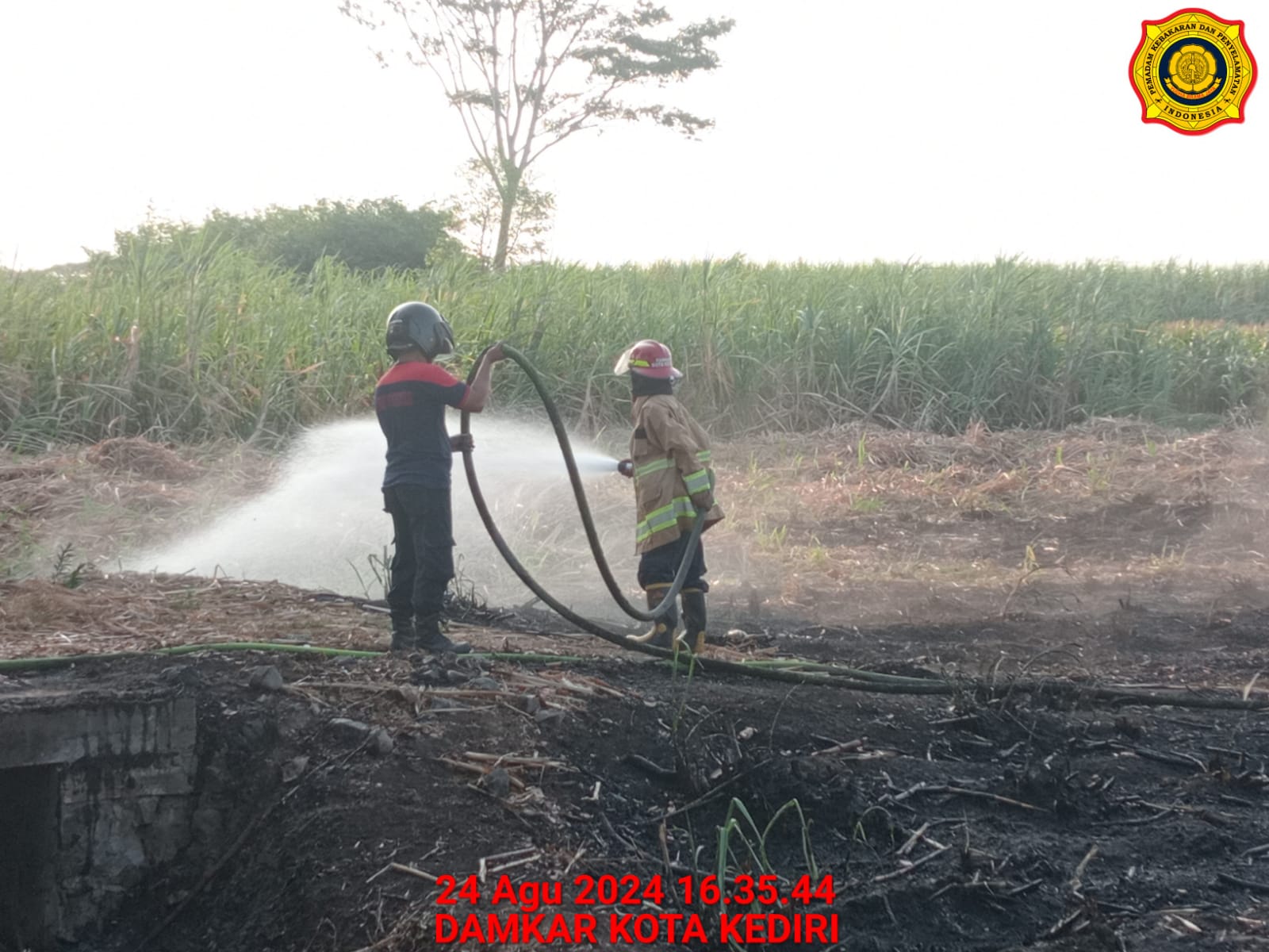 SEMPROT Pemadam menjinakan api di lahan tebu Kelurahan Bawang, Kecamatan Pesantren.