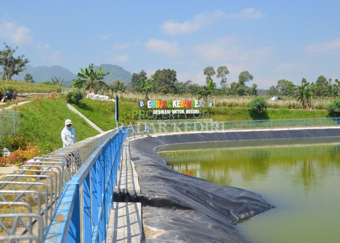BERMANFAAT: Embung Desa Kebonrejo memiliki manfaat besar bagi petani di sana.