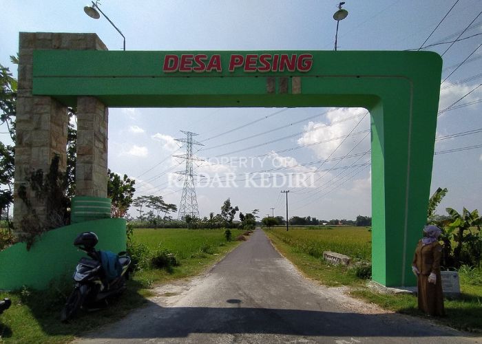 KOKOH: Kepala Desa Pesing Oktotina Mayline Aryanti Hidayat sedang menunjukkan gapura yang mempercantik desanya.