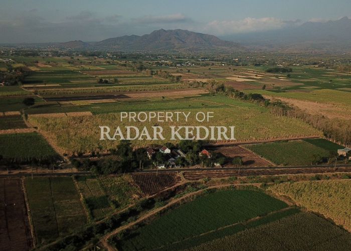 LUAS: Lahan pertanian yang terdampak proyek Tol Kediri-Kertosono di Desa Ngablak, Kecamatan Banyakan.