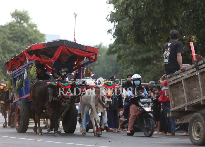 SEMARAK: Warga memadati parade cikar yang dilaksanakan di kawasan SLG pada Sabtu (7/9) lalu.