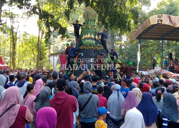 TUMPAH RUAH: Kirab dan gerebek gunungan hasil bumi di Desa Jarak, Plosoklaten, Kediri selalu dipadati pengunjung.