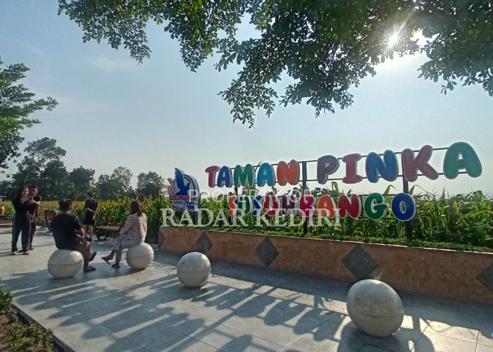DESA WISATA BARU: Pengunjung Taman Pinka di Desa Susuhbango, Kecamatan Ringinrejo berswafoto saat sore hari.