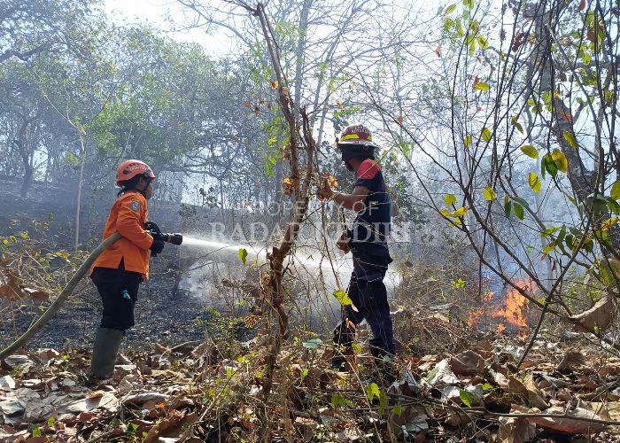 JINAKKAN API: Tim BPBD Kota Kediri bersama para relawan memadamkan api di lereng Gunung Klotok kemarin siang. Proses pemadaman api memakan waktu selama sekitar dua jam.