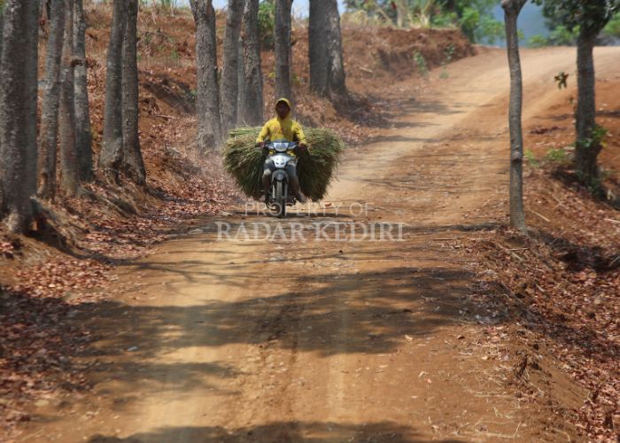 Proyek TMMD di Kabupaten Kediri Ditargetkan Rampung Akhir Oktober 2024