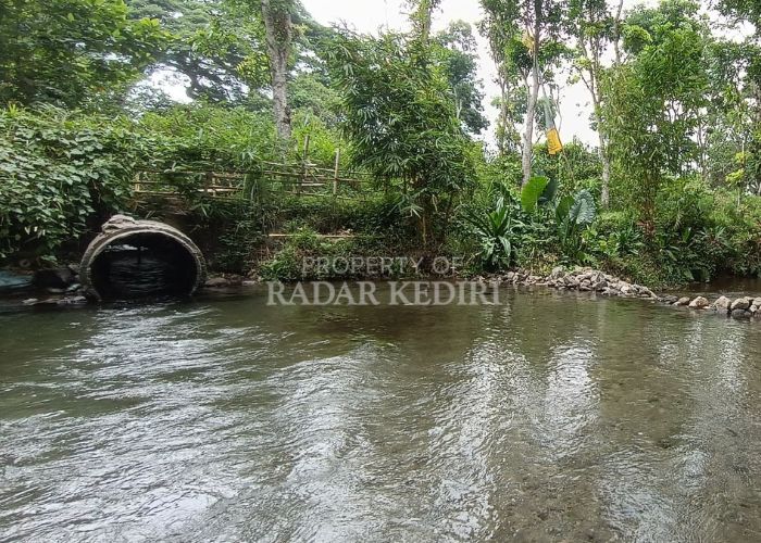 ASRI: Sendang Sulur Sewu di Desa Margourip, Ngancar ini jadi tumpuan petani dan wisata.