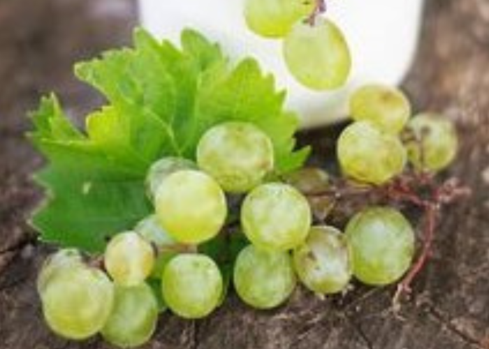 Anggur Muscat