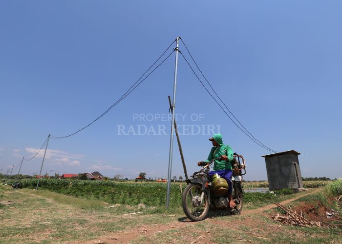 Petani melintasi persawahan di Desa Cerme, Grogol yang baru dipasangi listrik. Jika saat ini mereka masih menggunakan elpiji untuk mesin pompanya, ke depan bisa beralih ke listrik.