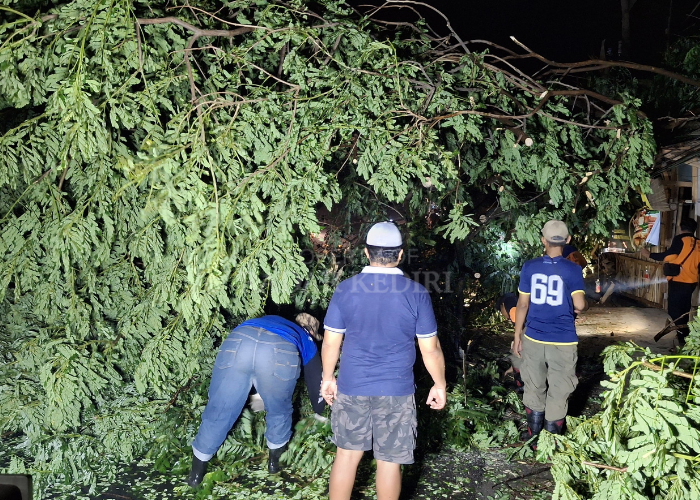 LALU LINTAS MACET: Petugas BPBD bersama relawan dan polisi memangkas pohon yang ambruk ke jalan raya Desa Pranggang, Plosoklaten pada Kamis (31/10) malam lalu.