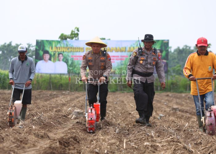 Karo SDM Polda Jatim Kombespol Ari Wibowo (2 dari kiri) menanam benih jagung di lahan Desa Gadungan, Puncu menggunakan alat mesin pertanian. Total ada 21 hektare lahan milik perhutani yang ditanami ke