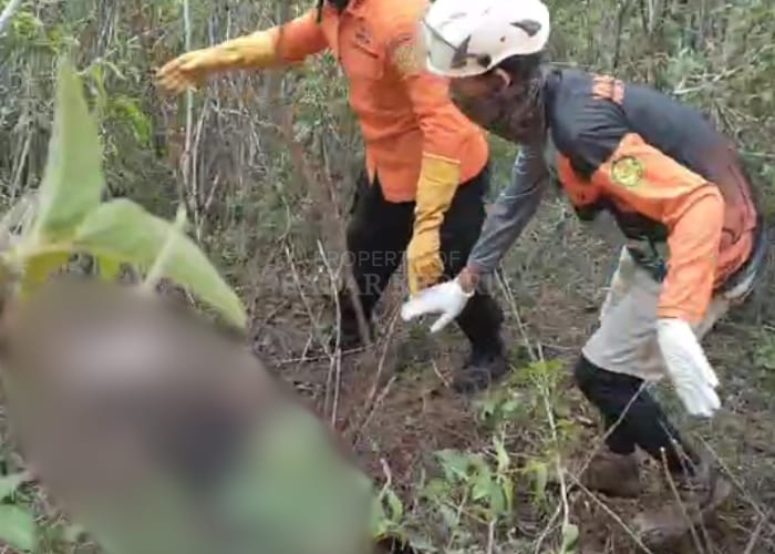 Surip, lansia berusia 67 tahun yang menghilang di hutan Gunung Wilis sejak Selasa (5/11) lalu akhirnya ditemukan.