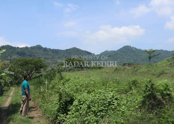 LAHAN BARU: Staf UPT TPA Klotok Kediri Yono memnunjukkan lokasi tempat pembuangan akhir yang menjadi pengganti di Kelurahan Pojok, Kediri.
