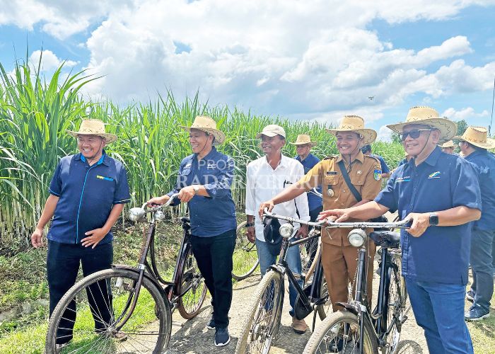 OPTIMISTIS: Dirut Holding PTPN III, Dirut PT SGN, General Manager PG Ngadiredjo, Kades Nyawangan, dan jajaran manajemen PG Ngadiredjo cek kebun tebu untuk swasembada gula nasional.