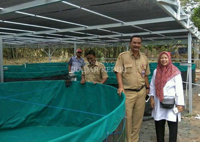 Perikanan di Desa Cerme, Grogol