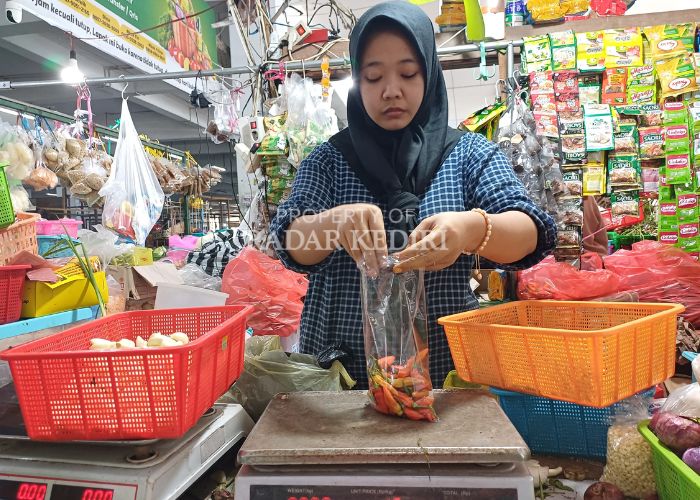 PENYUMBANG INFLASI: Pedagang di pasar Setonobetek membungkus cabai rawit.