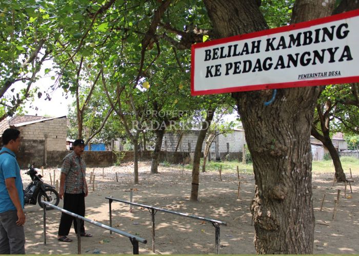 pasar hewan Desa Badas