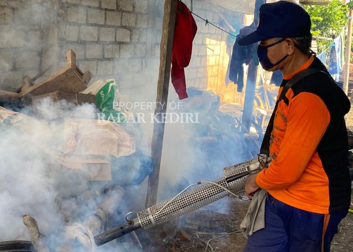 CEGAH CHIKUNGUNYA: Petugas fogging melakukan pengasapan di rumah warga di Desa Purwokerto, Kecamatan Ngadiluwih, Kabupaten Kediri.